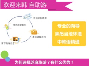 韩国首尔与釜山专业翻译与软件开发服务