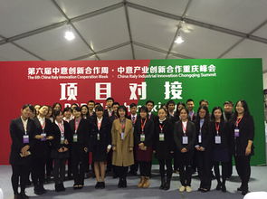 我院学子圆满完成第六届中意产业创新合作重庆峰会项目对接会翻译与软件开发志愿服务